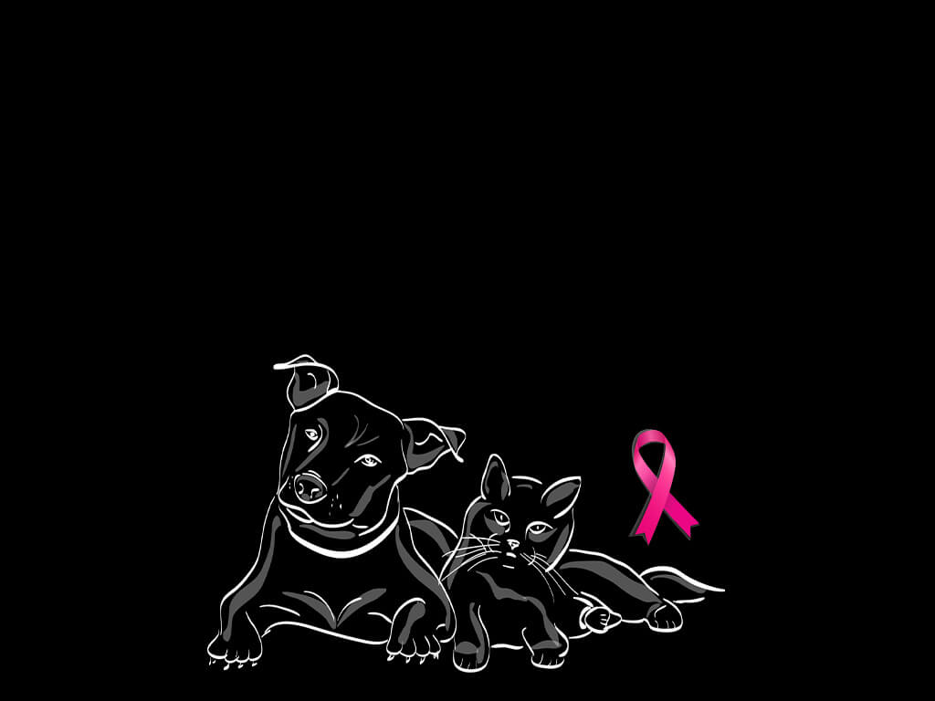 animales rosa perfumes de imitacion perfumeria maria murcia