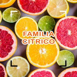 Cítrico