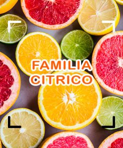 Cítrico