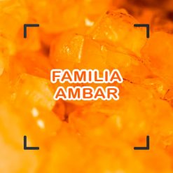 Ámbar