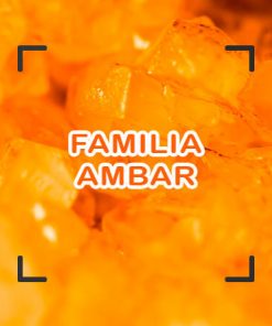 Ámbar